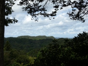 DSCN7483