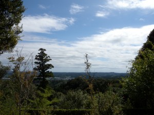 DSCN7510