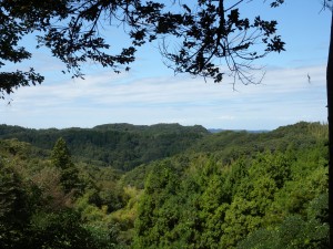 DSCN7519