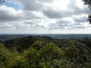 DSCN7574