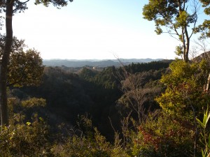 DSCN7835