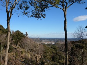 DSCN7913-1