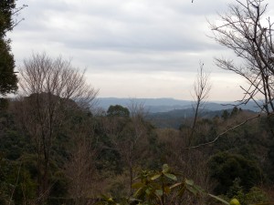 DSCN7941