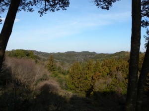 DSCN8017