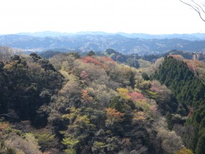 DSCN8108