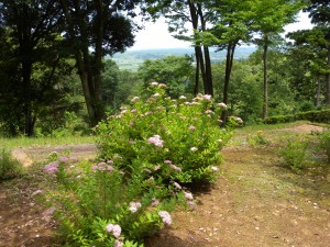 DSCN8359