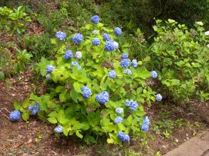 DSCN8362