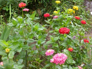 DSCN8404