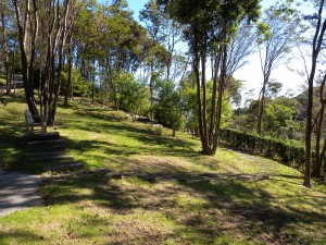 DSCN8606