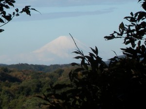 DSCN8756