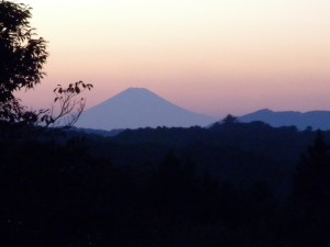 DSCN5087
