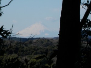 DSCN6962