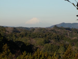 DSCN7843