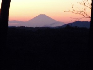 DSCN8899