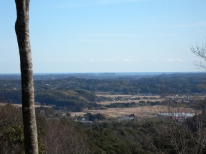 DSCN8965