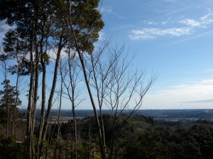 DSCN8973