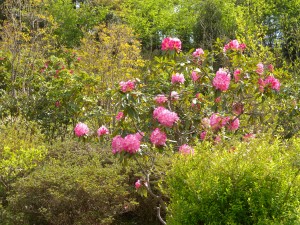 DSCN9202