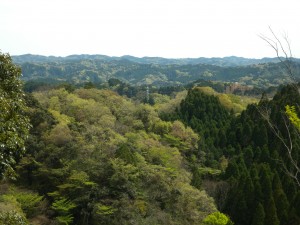 DSCN9214