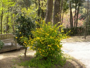 DSCN9228