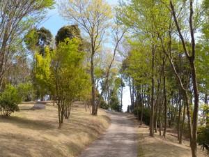 DSCN9230