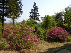 DSCN9296