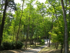 DSCN9304