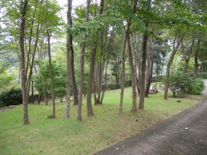DSCN9630