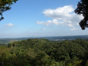 DSCN9649