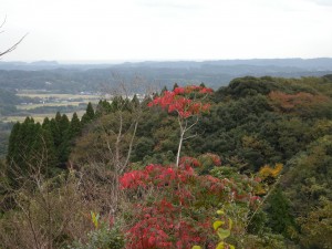 DSCN9776-1
