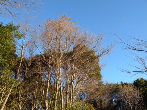 DSCN9971