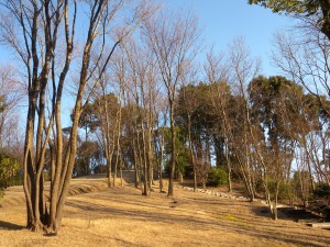 DSCN0038