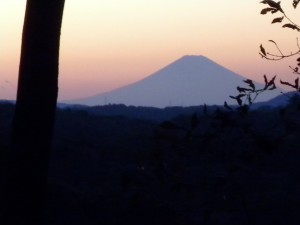 DSCN0001