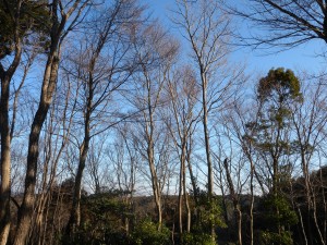 DSCN0060
