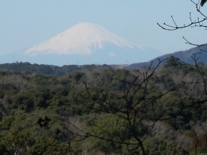 DSCN0102
