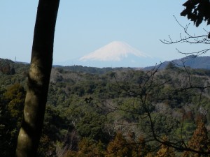DSCN0106