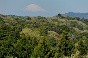 NY8_5769_18723