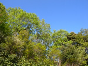 DSCN0165