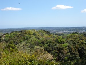 DSCN0185