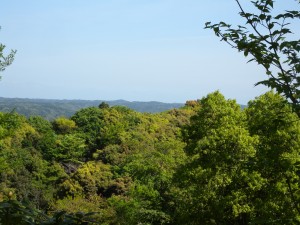 DSCN0217
