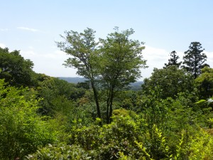 DSCN0254