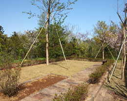 合葬墓型樹木葬(里の花)のご利用料金